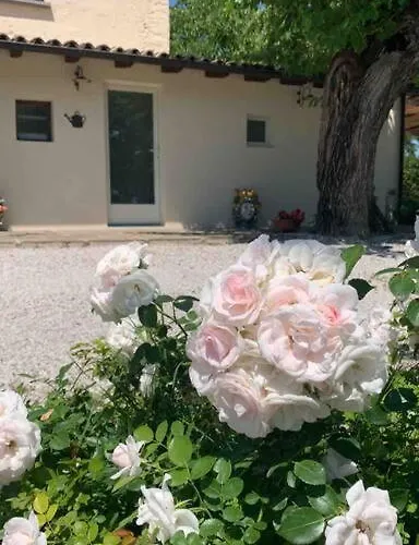 Casa Bellona Vila Montebelluna